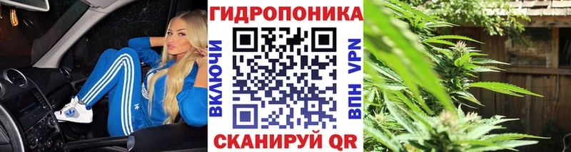 Купить закладку Каннабис Мефедрон Псилоцибиновые грибы ГАШ Новоаннинский