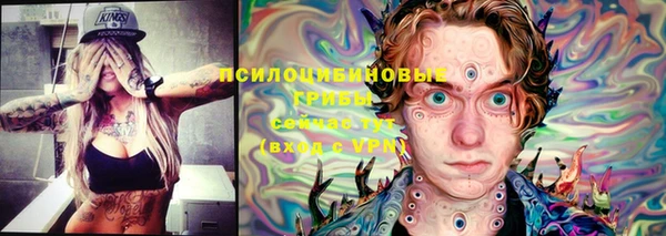 твердый Лабытнанги