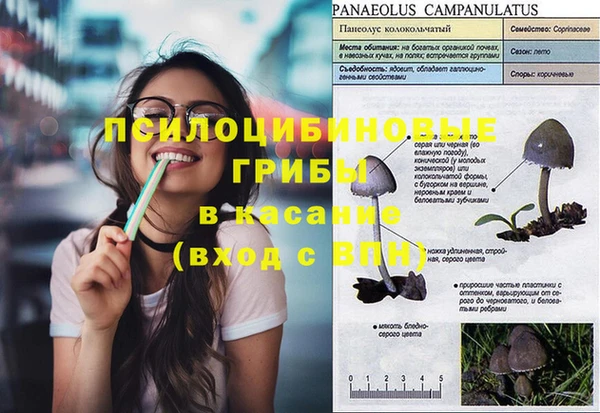 твердый Лабытнанги