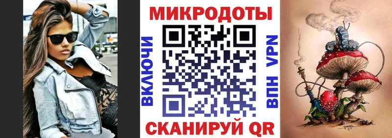 Купить где Новоаннинский Псилоцибиновые грибы Psilocybe